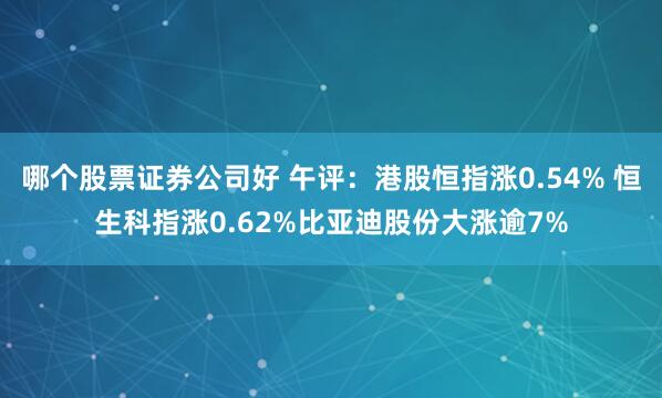 哪个股票证券公司好 午评：港股恒指涨0.54% 恒生科指涨0.62%比亚迪股份大涨逾7%