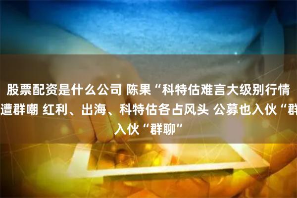 股票配资是什么公司 陈果“科特估难言大级别行情”竟遭群嘲 红利、出海、科特估各占风头 公募也入伙“群聊”