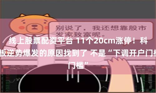 线上股票配资平台 11个20cm涨停！科创板逆势爆发的原因找到了 不是“下调开户门槛”