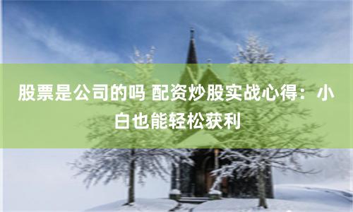 股票是公司的吗 配资炒股实战心得：小白也能轻松获利